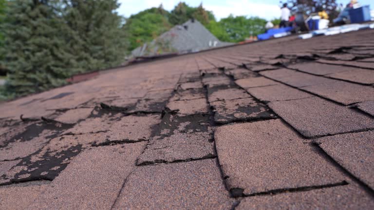 Best Roof Maintenance and Cleaning  in South Sumter, SC
