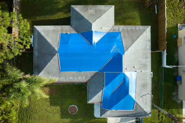 Best Roof Moss and Algae Removal  in South Sumter, SC