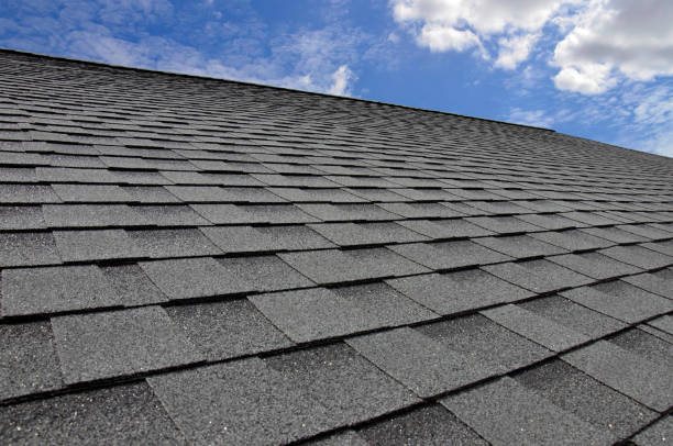 Best Asphalt Shingle Roofing  in South Sumter, SC